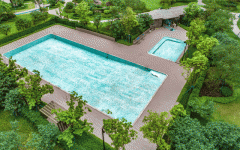 自12月日起每日限量100份